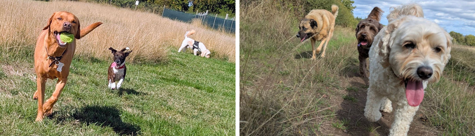 slide2-walkies