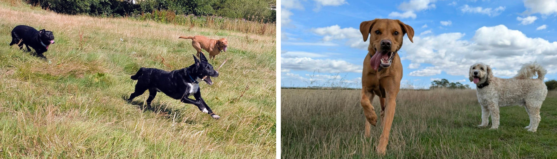 slide4-walkies