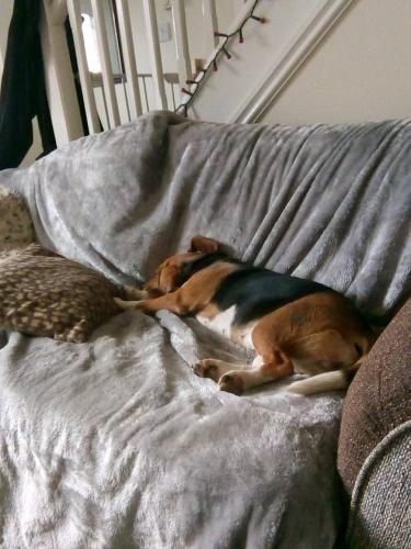 gallery-image-38