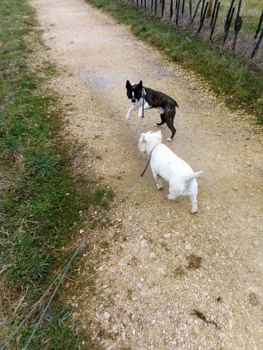gallery-image-53