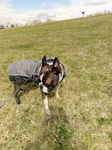 gallery-image-75
